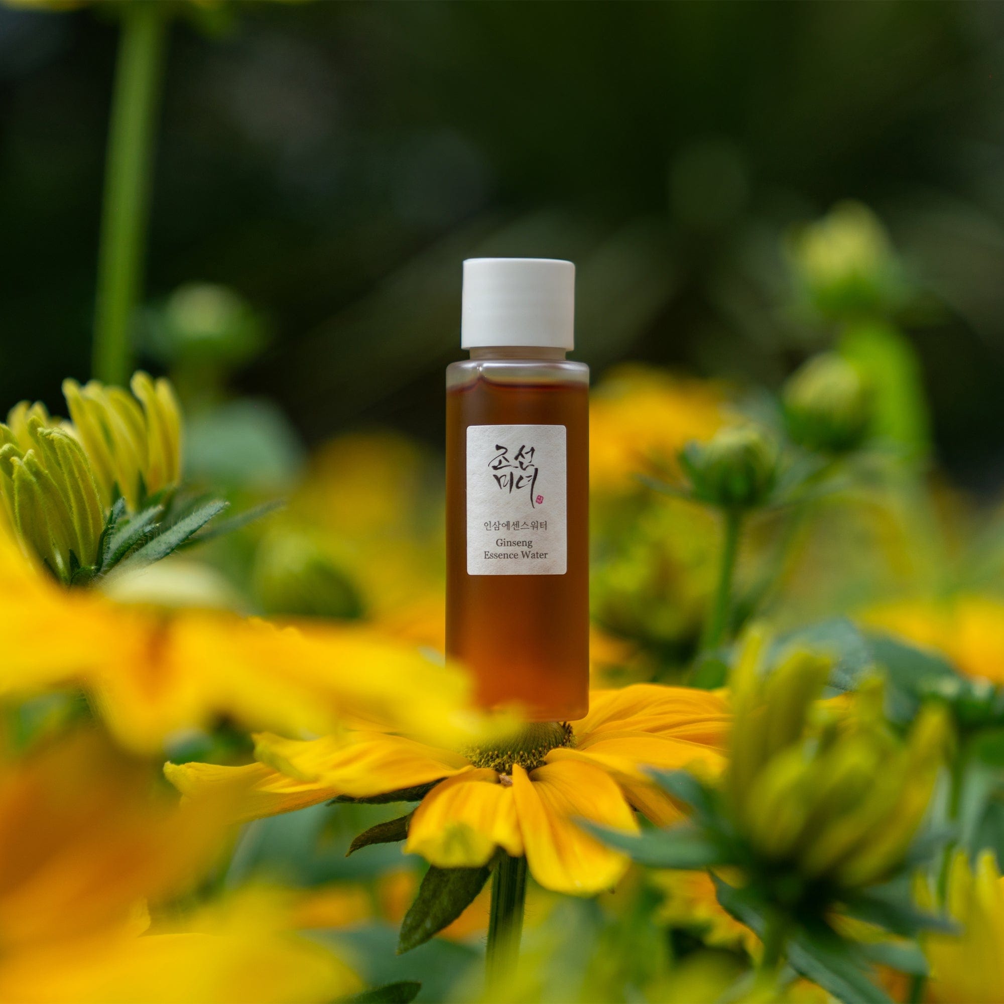 Photograph of Beauty of Joseon - Ginseng Essence Water mini in a bed of Yellow flowers